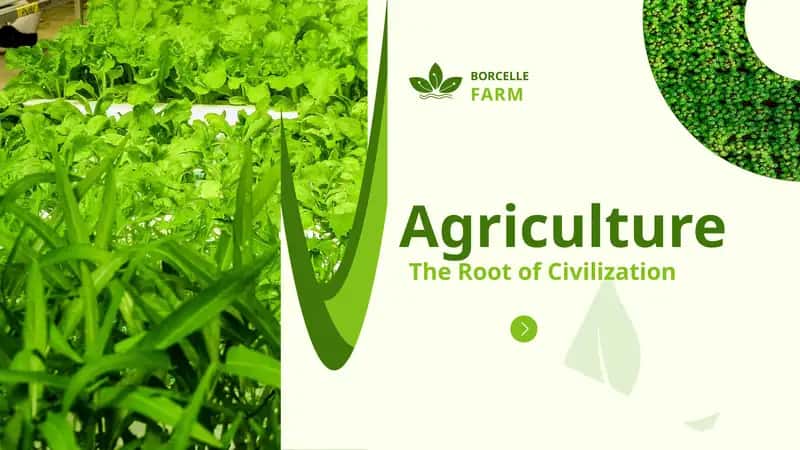 Agriculture 1