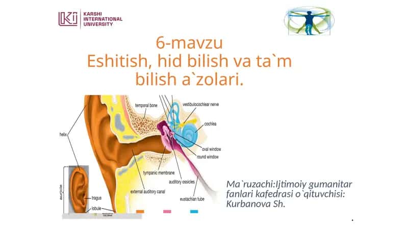 Eshitish, Hidbilish va Ta'mbilisha Zolari 1