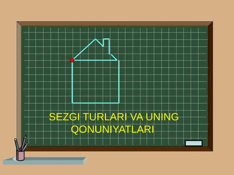 Sezgi Turlari va uning Qonuniyatları 1