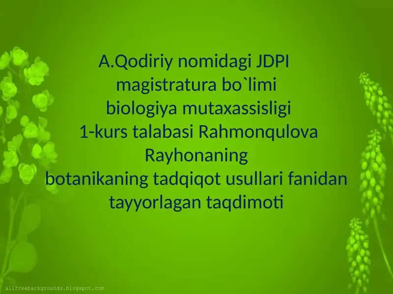 Rahmonqulova Rayhonaning Botanikaning tadqiqot usullari fanida tayyorlagan taqdimoti 1