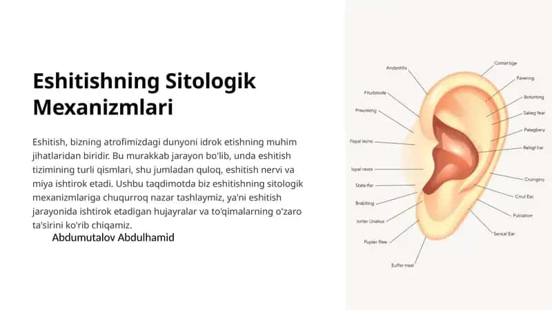 Eshitishning Sitologik Mexanizmlari 1