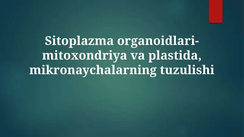 Mitoxondriyalar va Plastidalar: Tuzilishi, Vazifalari va Kelib Chiqishi 1