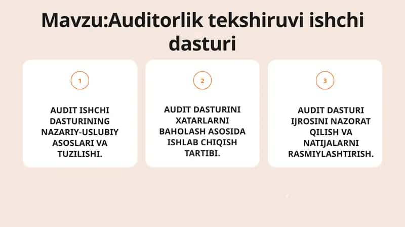 Auditorlik tekshiruvi ishchi dasturi 1