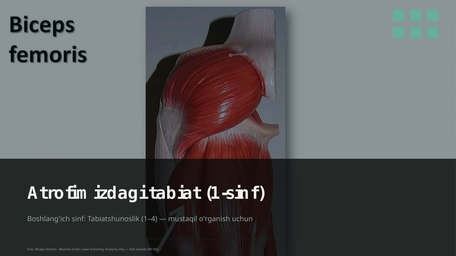 Atrofimizdagi tabiat (1-sinf) 1