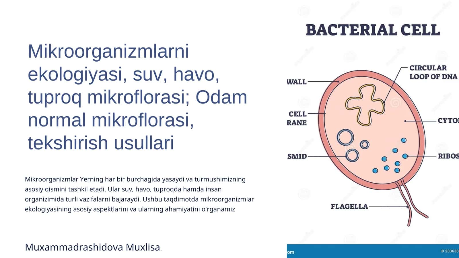Mikroorganizmlar Ekologiyasiga Kirish 1