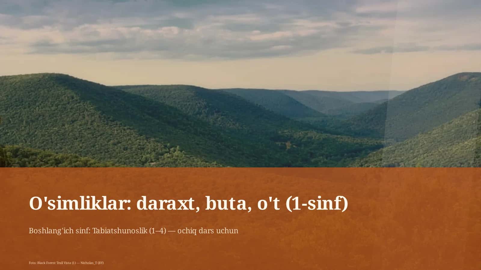 O'simliklar: daraxt, buta, o't (1-sinf) 1