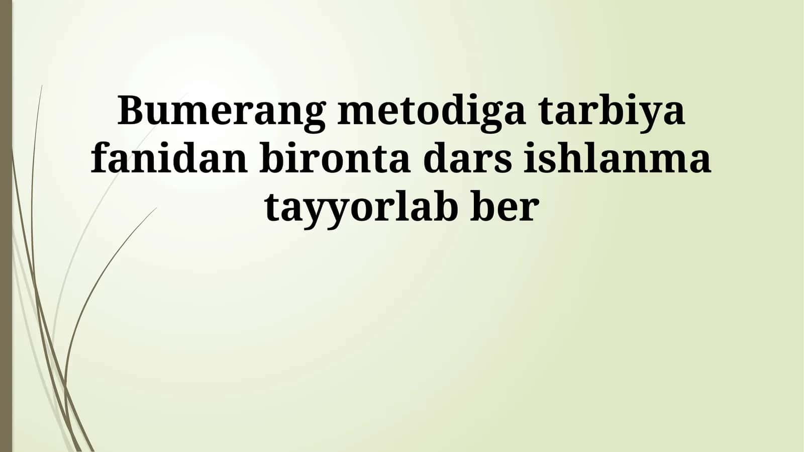 Bumerang metodiga tarbiya fanidan bironta dars ishlanma 1