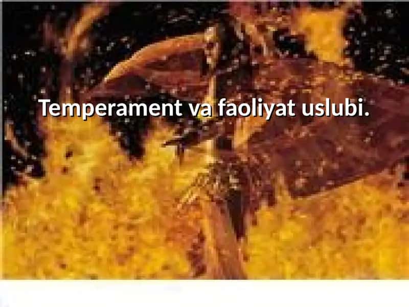Temperament va faoliyat uslubi 1