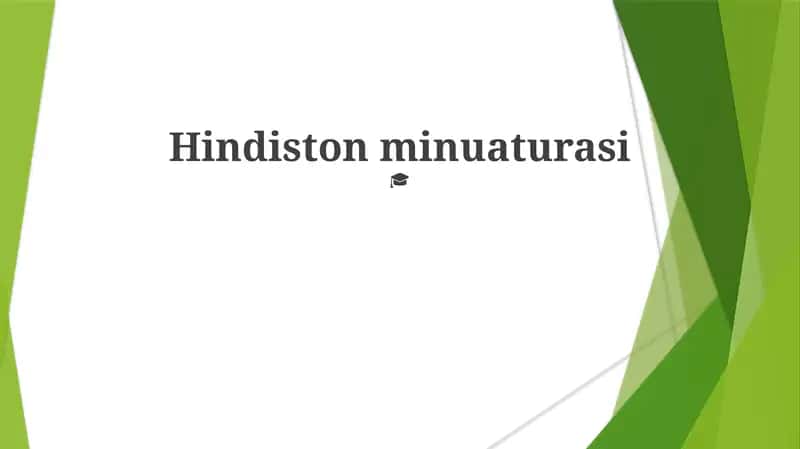 Hindiston minuaturasi 1
