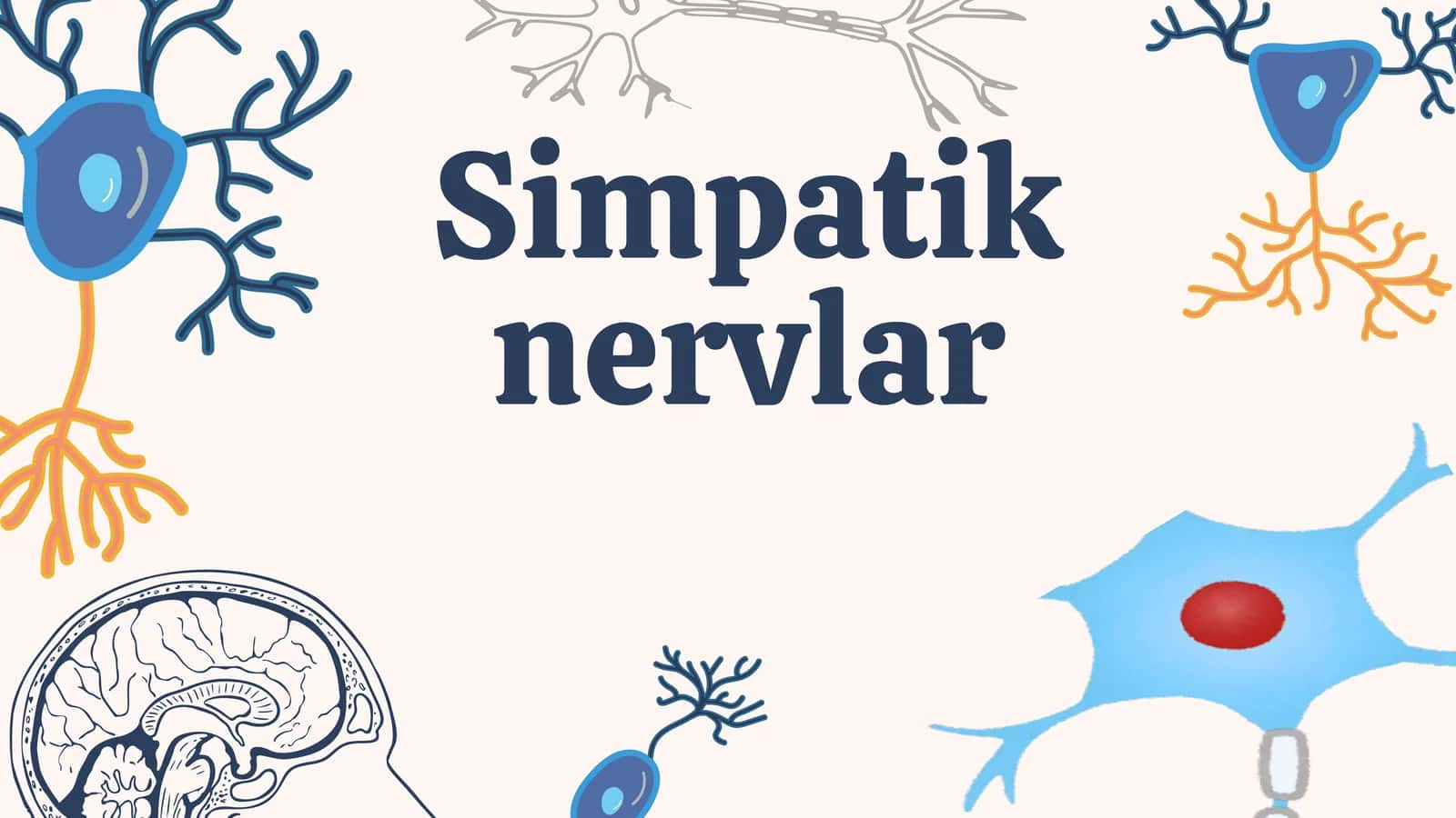 Simpatik 1