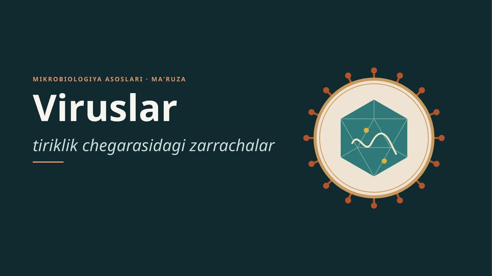 Viruslar 1