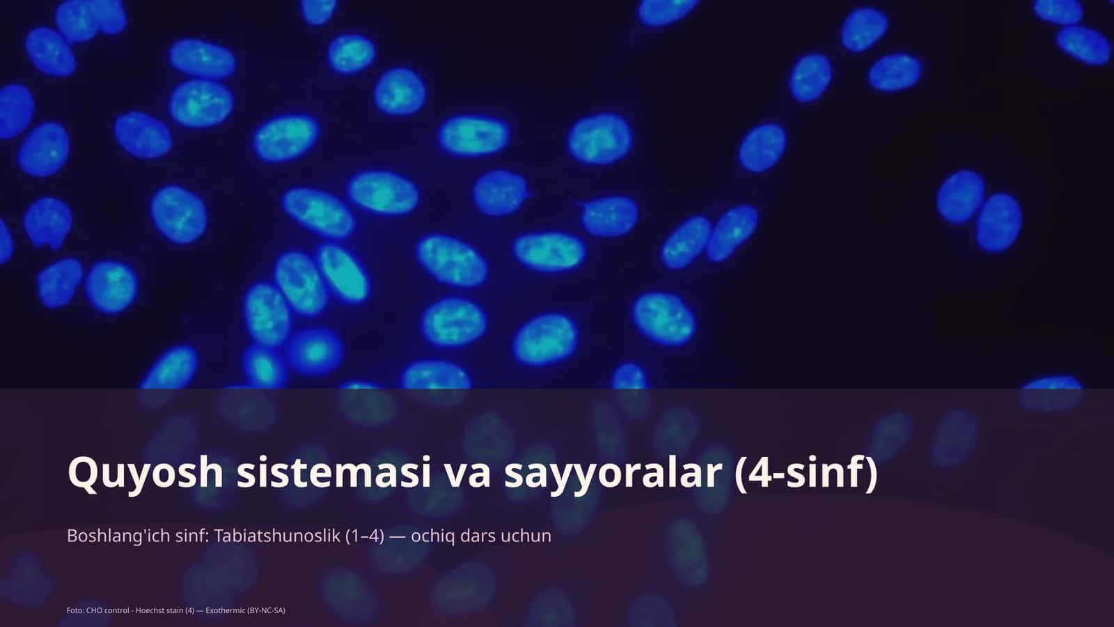 Quyosh sistemasi va sayyoralar (4-sinf) 1