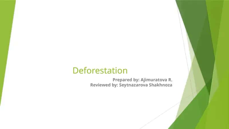 Deforestation 1