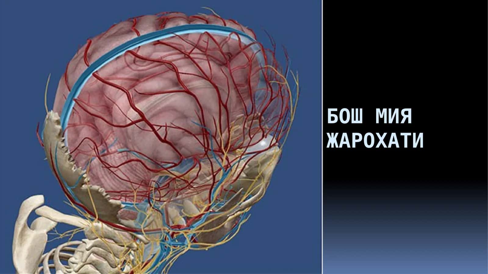 ЖАРОХАТ МЕХАНИЗМИ 1