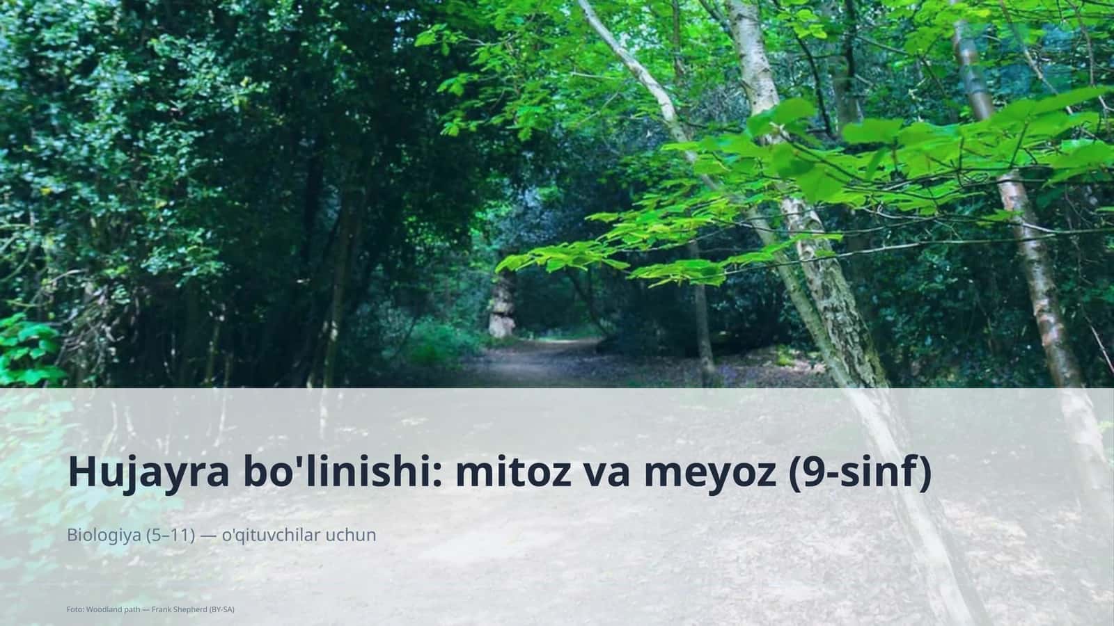 Hujayra bo'linishi: mitoz va meyoz (9-sinf) 1
