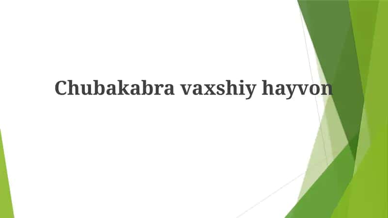 Chubakabravaxshiyhayvon 1