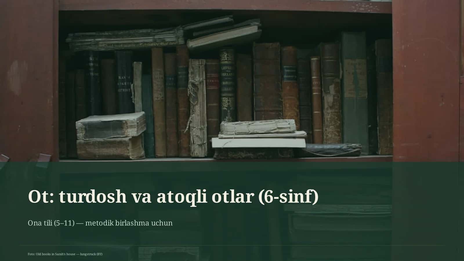 Ot: turdosh va atoqli otlar (6-sinf) 1