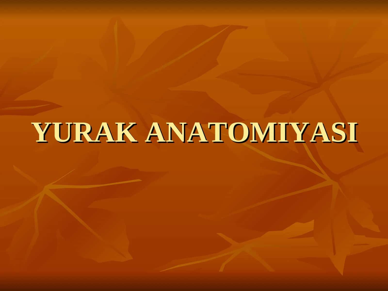 YURAK ANATOMIYASI 1