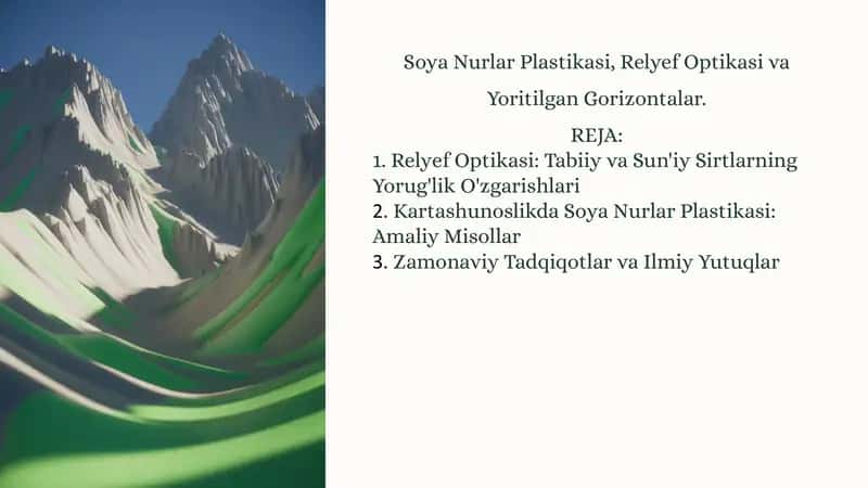 Soya Nurlar Plastikasi 1
