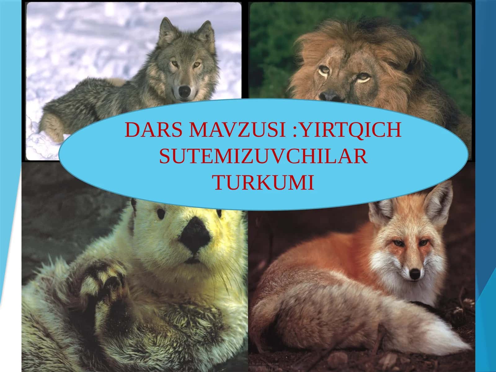YIRTQICH SUTEMIZUVCHILAR TURKUMI 1
