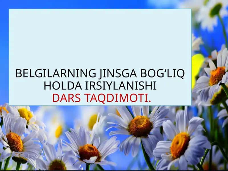 BELGILARNING JINSGA BOG‘LIQ HOLDA IRSIYLANISHIDARS TAQDIMOTI