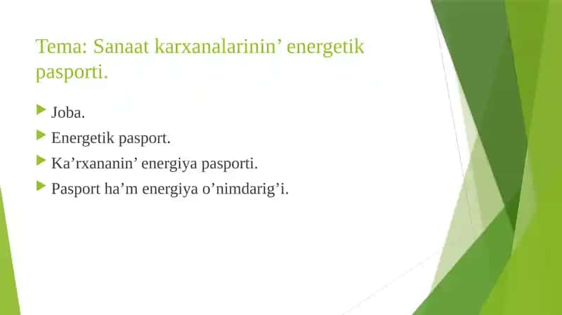 Energetik pasportlar