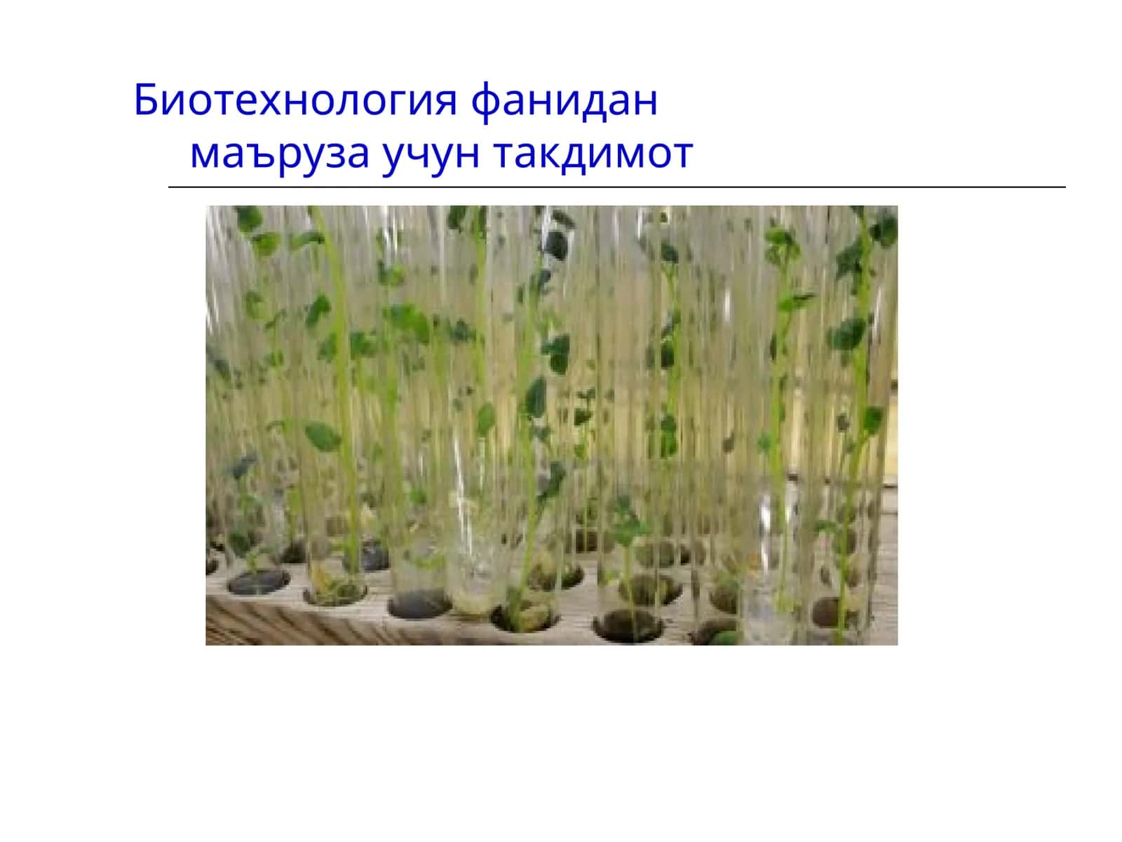 Хужайра биотехнологияси моддий асослари 1