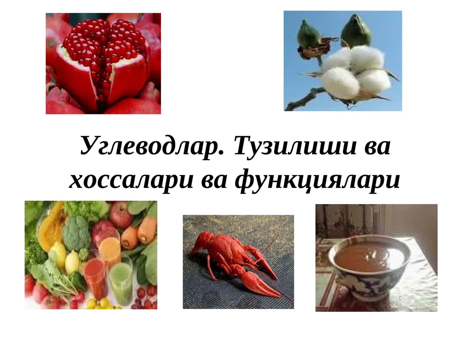 Углеводлар. Тузилиши ва хоссалари ва функциялари 1
