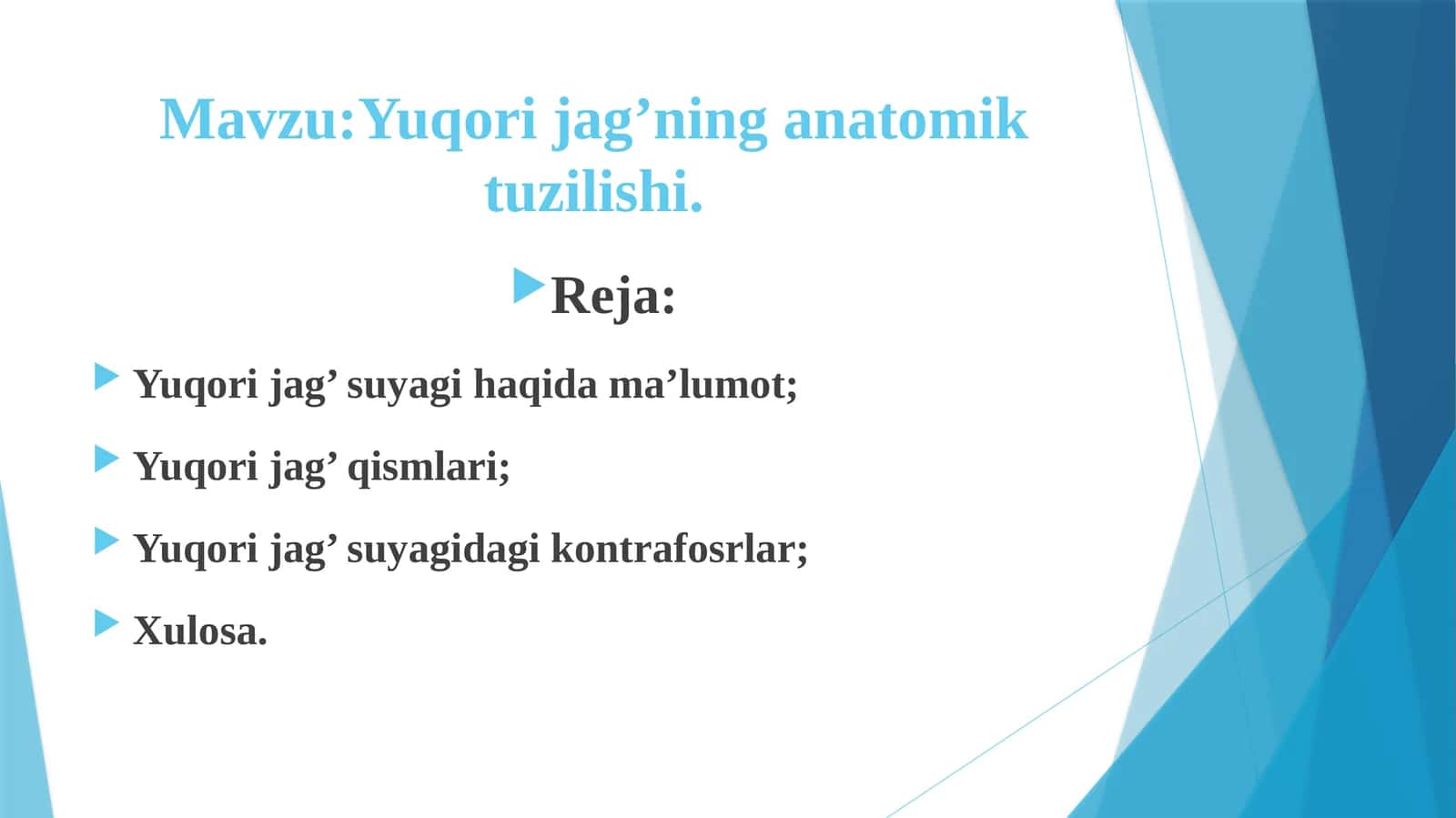 Yuqorijag’ning anatomik tuzulishi 1