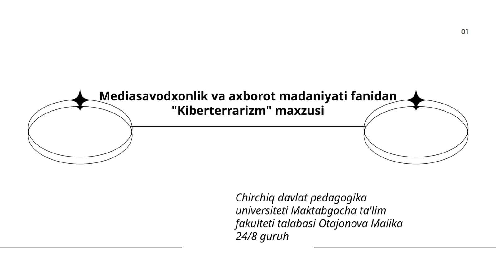 Kiberterrarizm 1