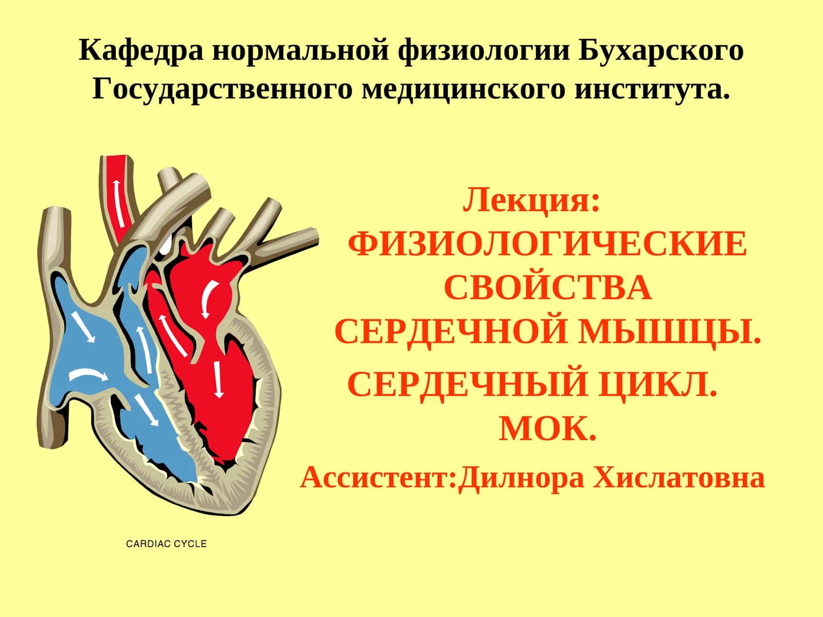 ФИЗИОЛОГИЧЕСКИЕ СВОЙСТВА СЕРДЕЧНОЙ МЫШЦЫ 1
