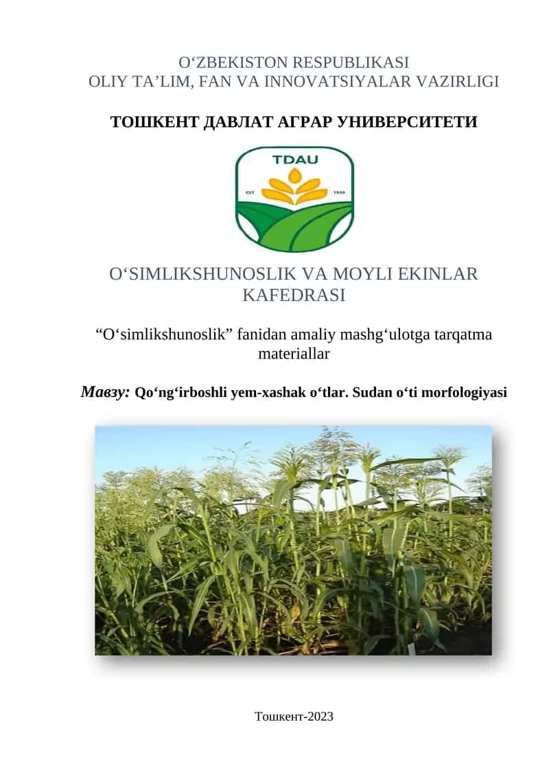 Qo‘ng‘irboshli o‘tlarning morfologiyasi 1