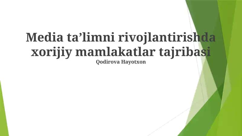 Media taʼlimni rivojlantirishda xorijiy mamlakatlar tajribasi 1