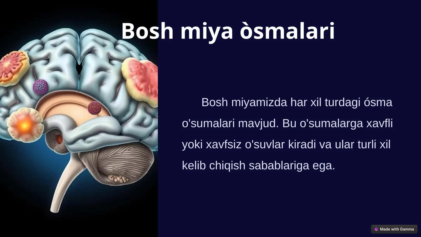 Bosh miya o'smalari 1