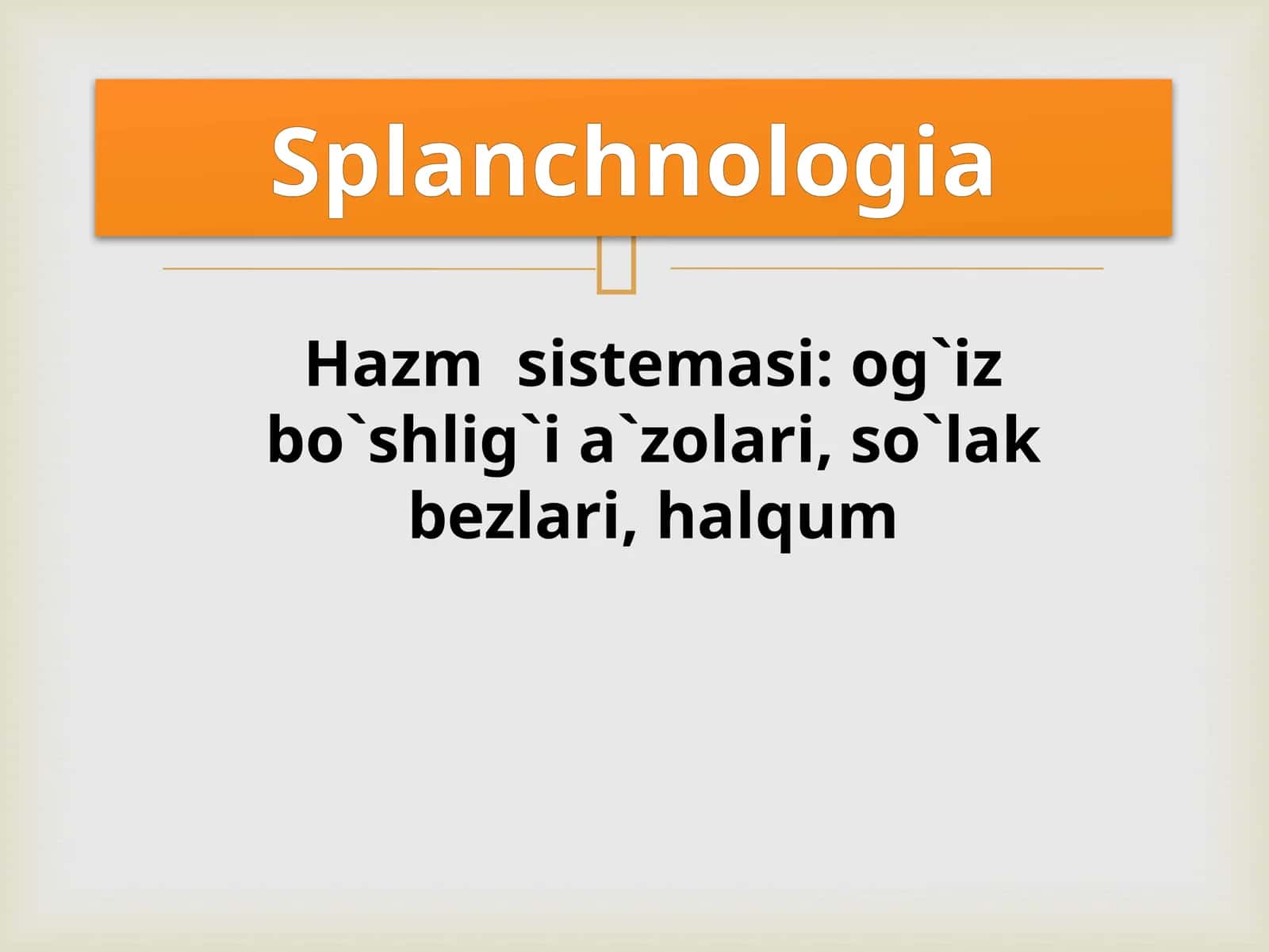 Hazm  sistemasi: og`iz bo`shlig`i a`zolari, so`lak bezlari, halqum/Splanchnologia 1