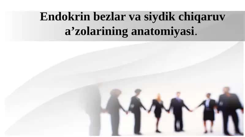 Endokrin bezlar va siydik chiqaruv a’zolarining anatomiyasi. 1