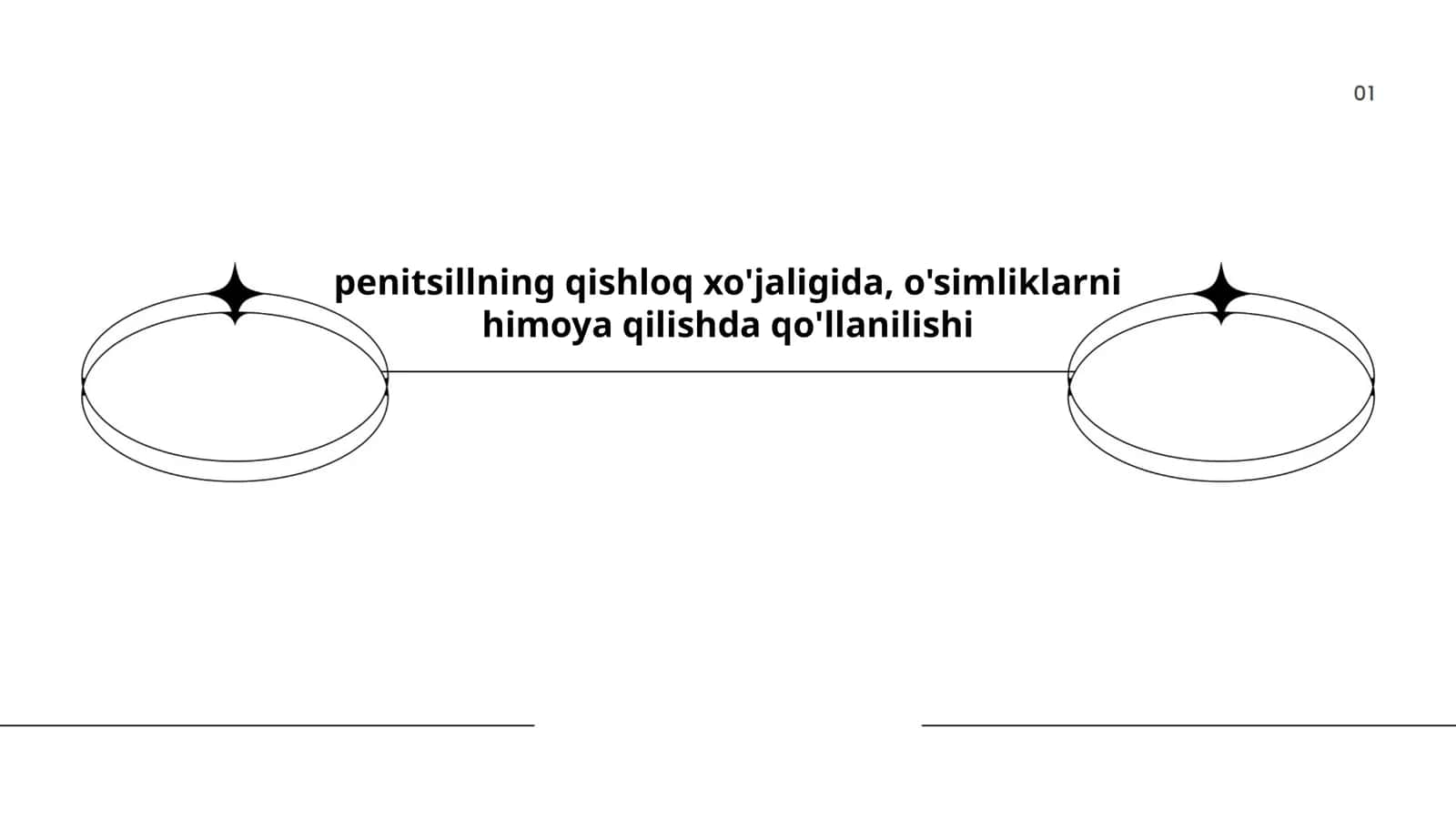 penitsillning qishloq xo'jaligida, o'simliklarni himoya qilishda qo'llanilishi 1