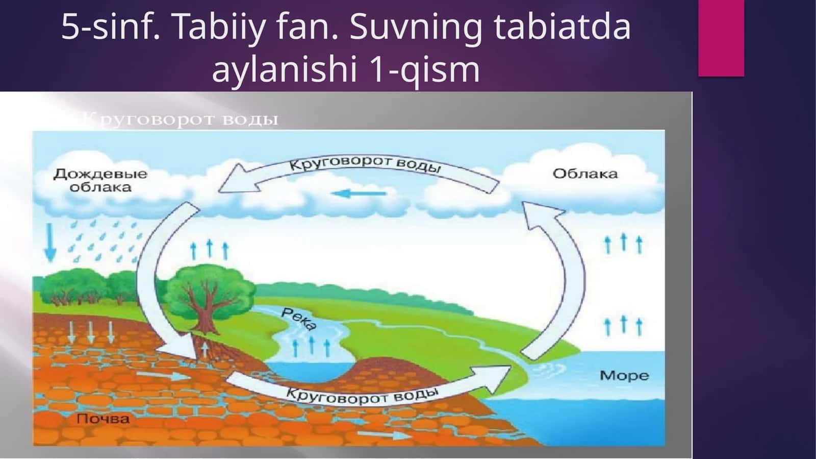 Suvning aylanishi 1-qism 1