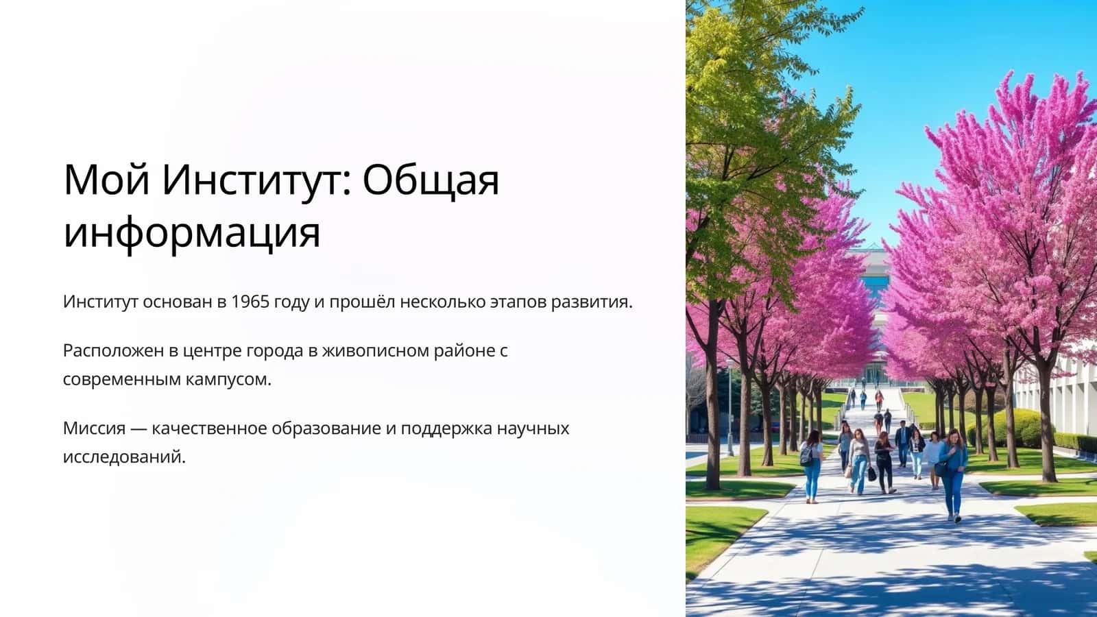 Программы и Специализации 1