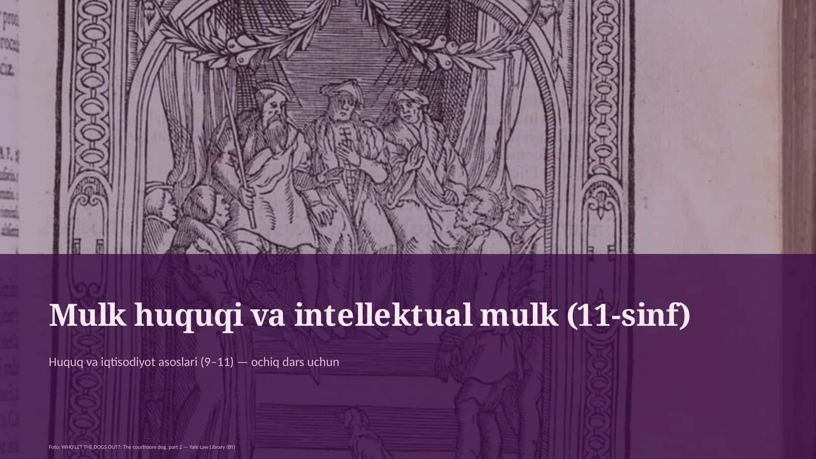 Mulk huquqi va intellektual mulk (11-sinf) 1