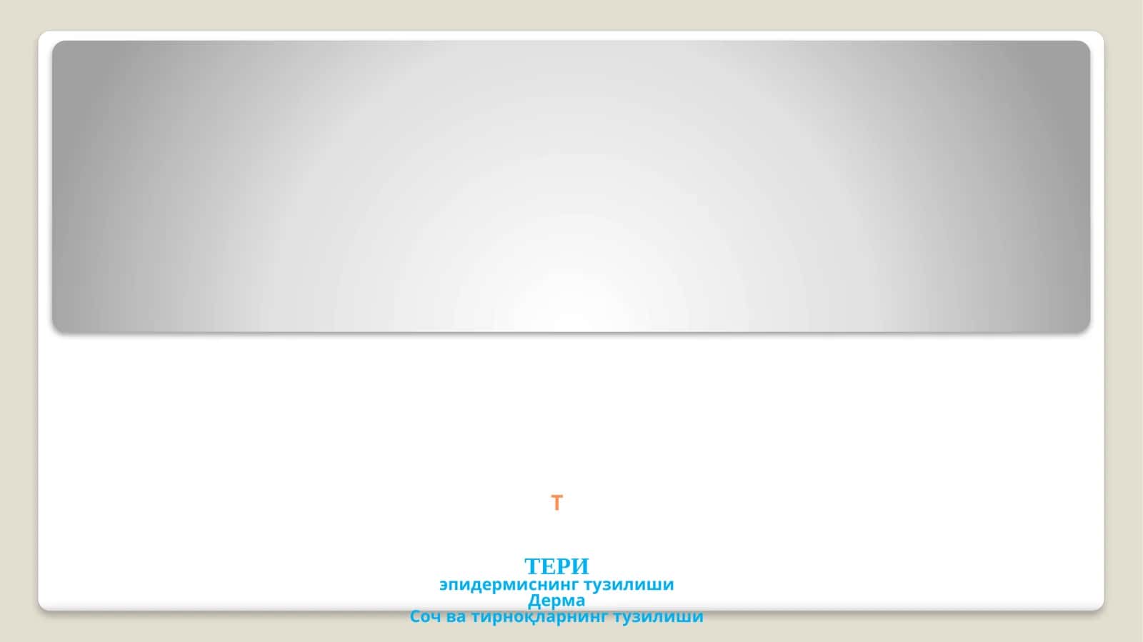 Тери эпидермисининг тузилиши 1