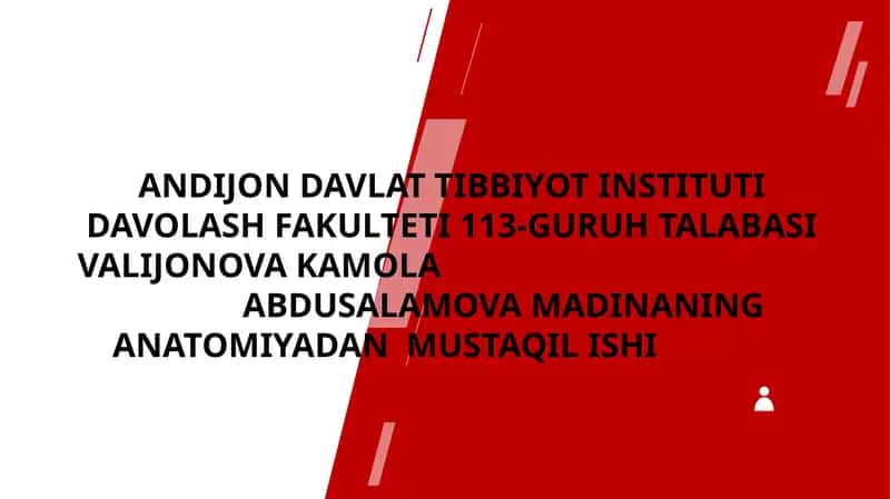 Yelka kamari va yelka mushaklari 1