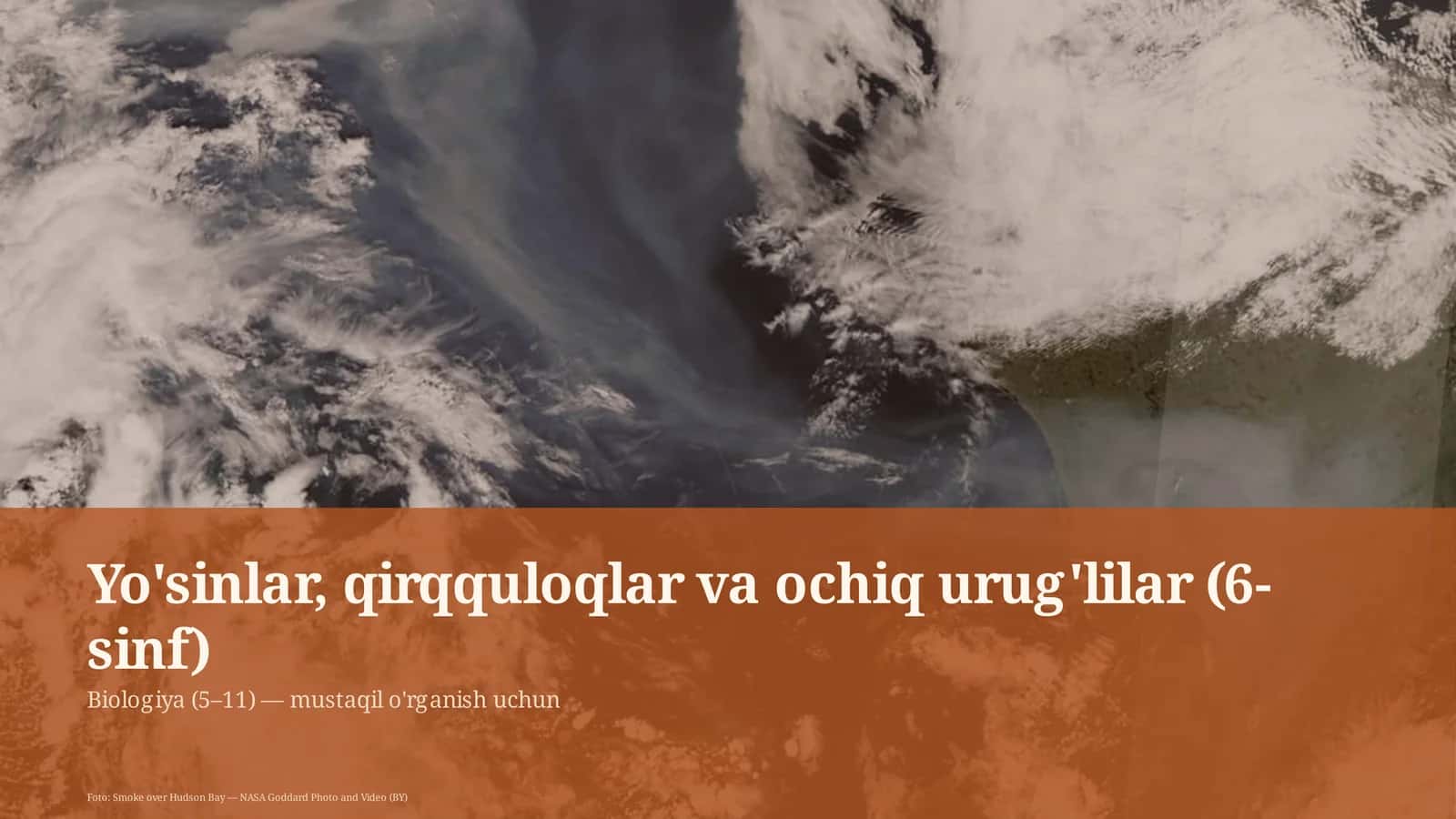 Yo'sinlar, qirqquloqlar va ochiq urug'lilar (6-sinf) 1