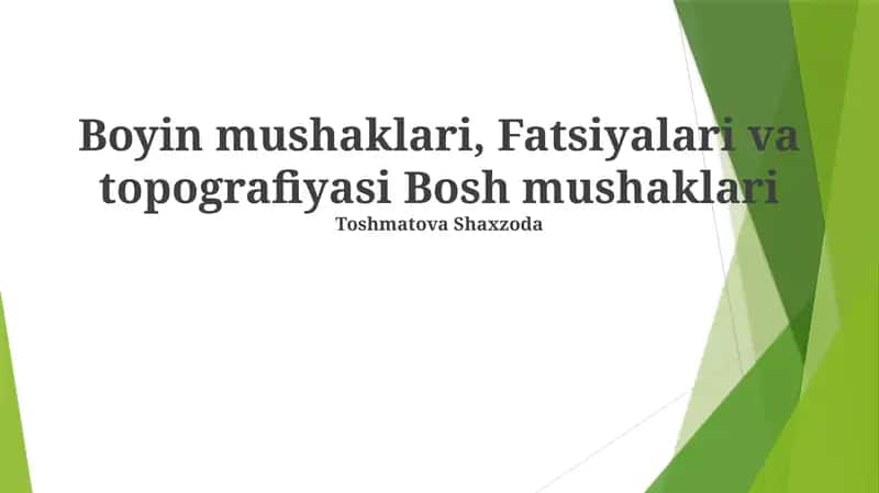 Bosh mushaklari 1