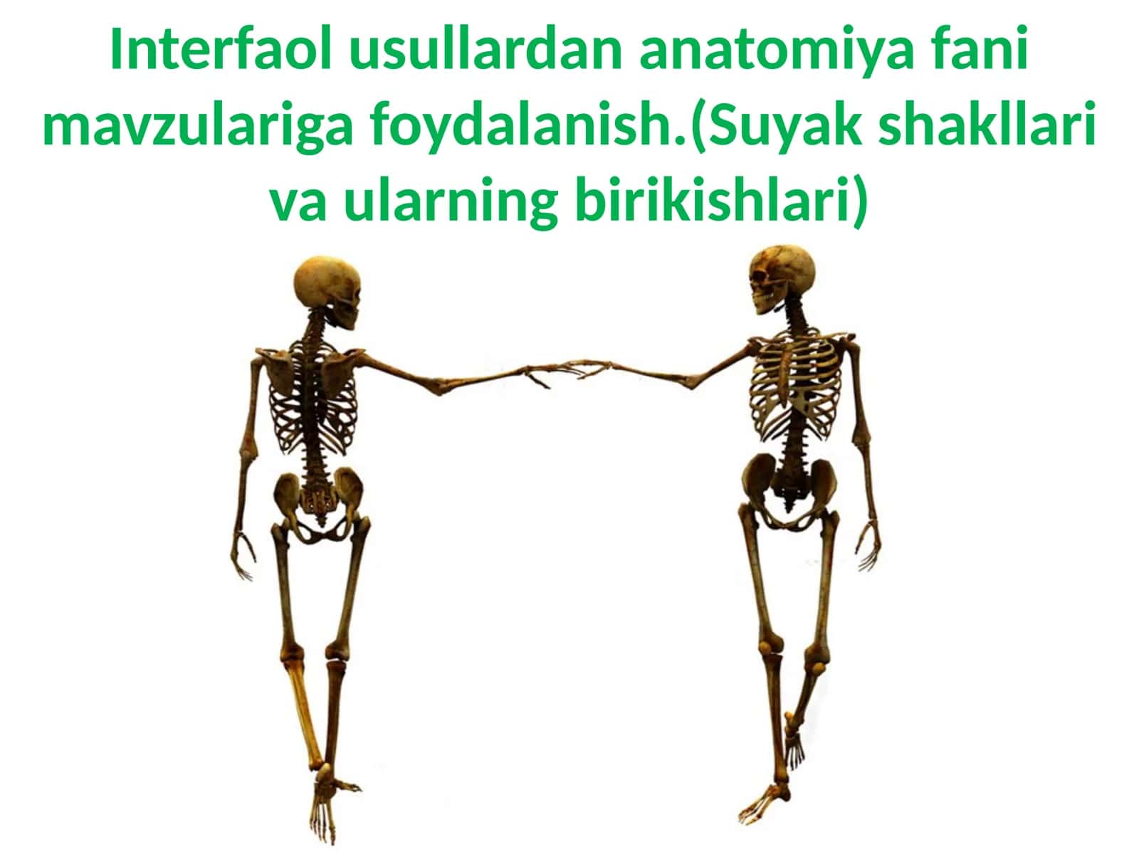 Interfaol usullardan anatomiya fani mavzulariga foydalanish 1
