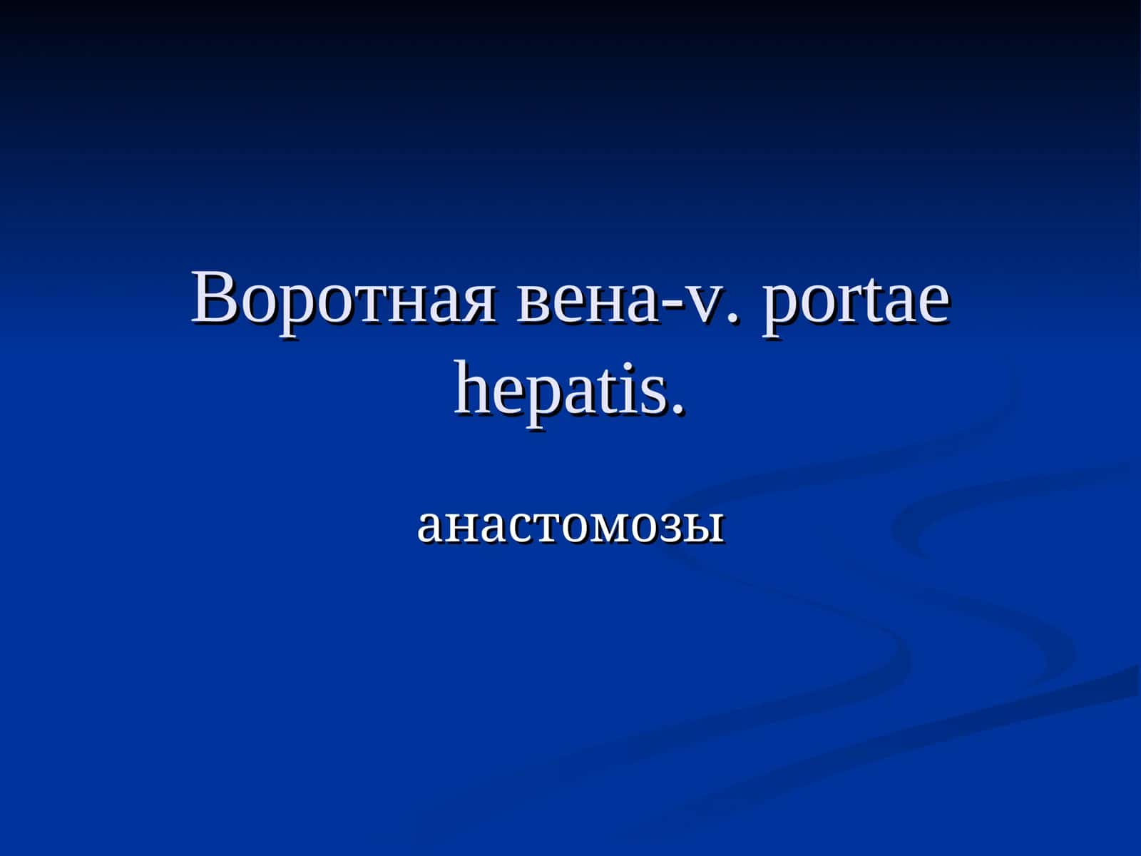 Воротная вена-v. portaehepatis 1