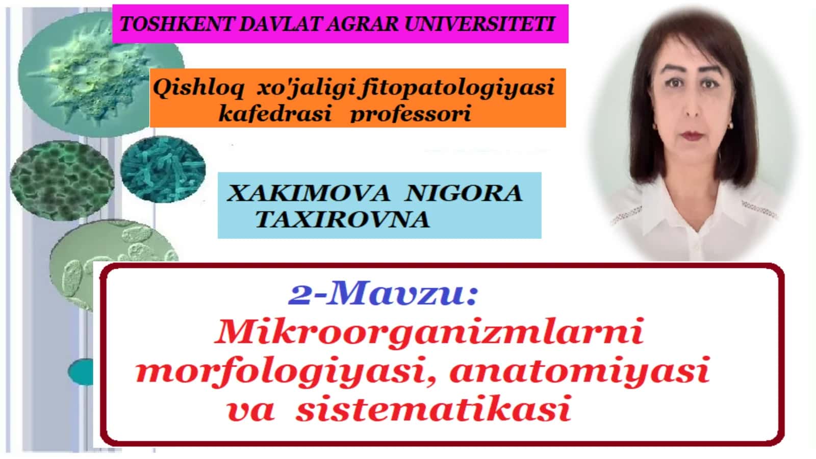 Mikroorganizmlar haqida tushuncha 1