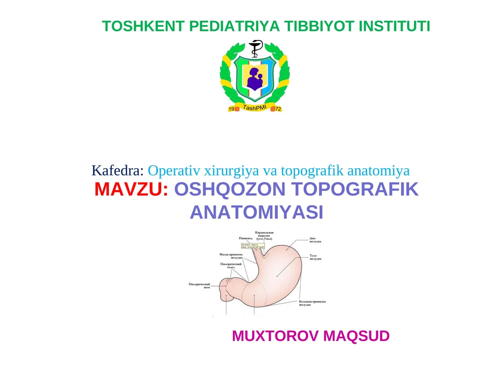 OSHQOZON TOPOGRAFIK ANATOMIYASI 1