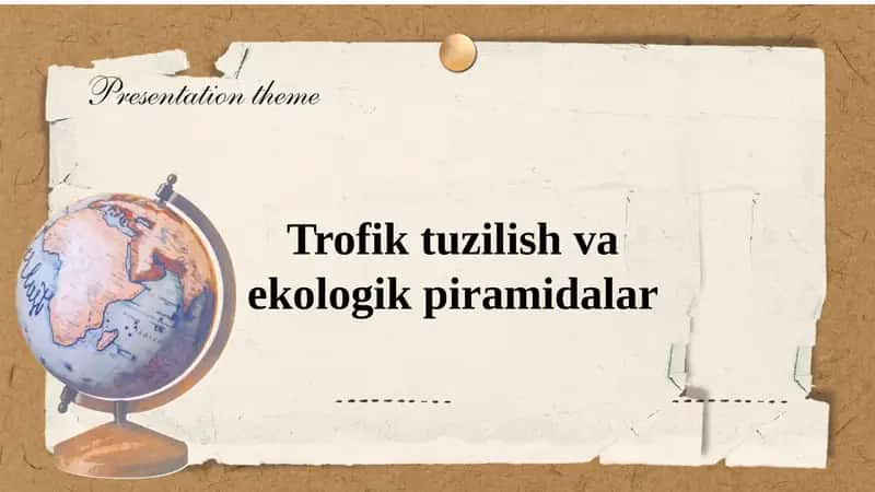 Trofik tuzilish va ekologik piramidalar 1