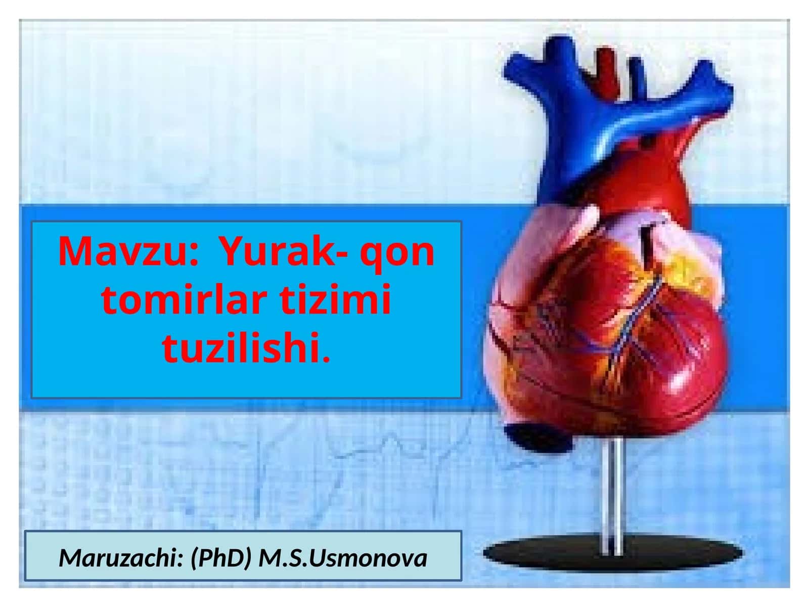 Yurak-qontomirlar tizimi 1